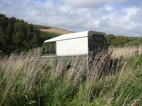 Alston Wash Meadow